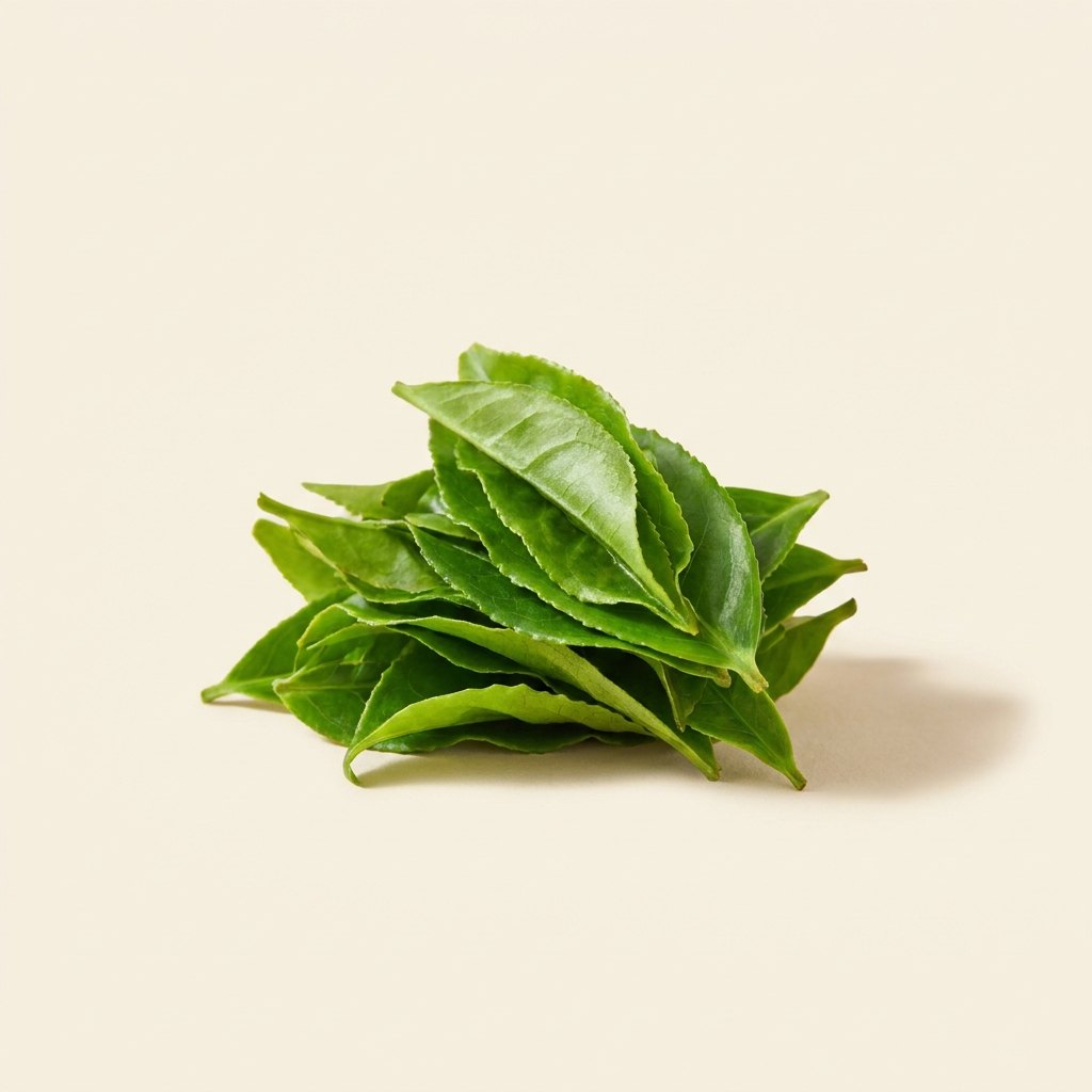 Fresh tencha leaves
